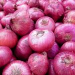 Minimum Export Price (MEP) of $800 per MT on Onion Export Notified by Government