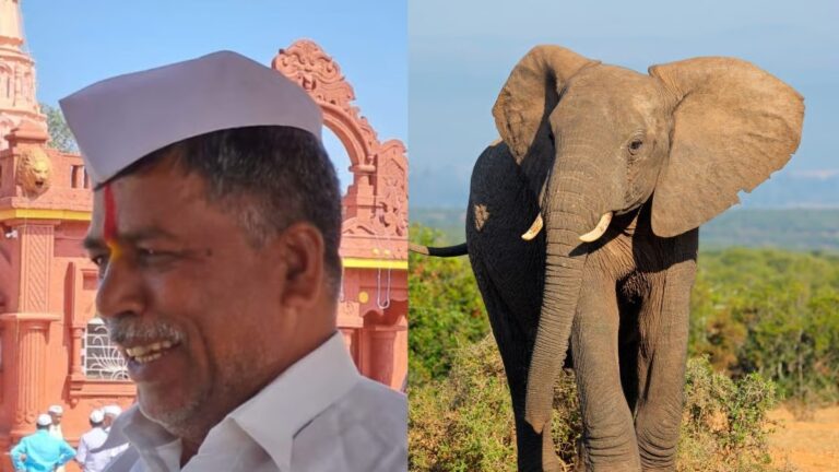 Tragedy Strikes as Forest Guard Loses Life in Elephant Attack During Operation