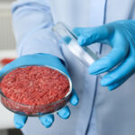 Italy enacts ban on lab-produced meat