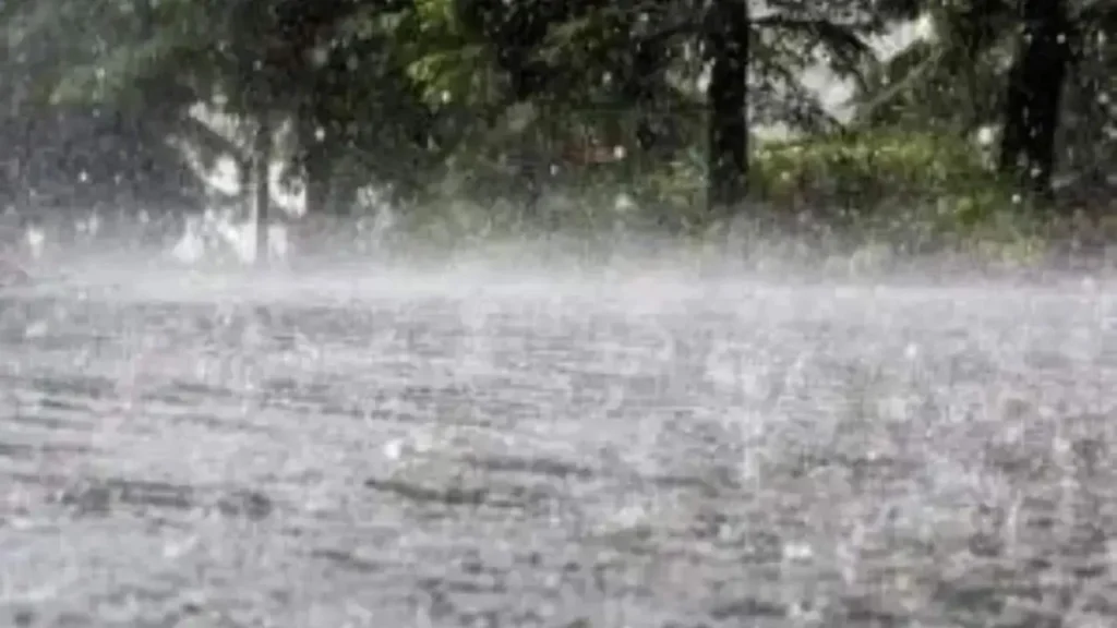 Rain Havoc in Marathwada