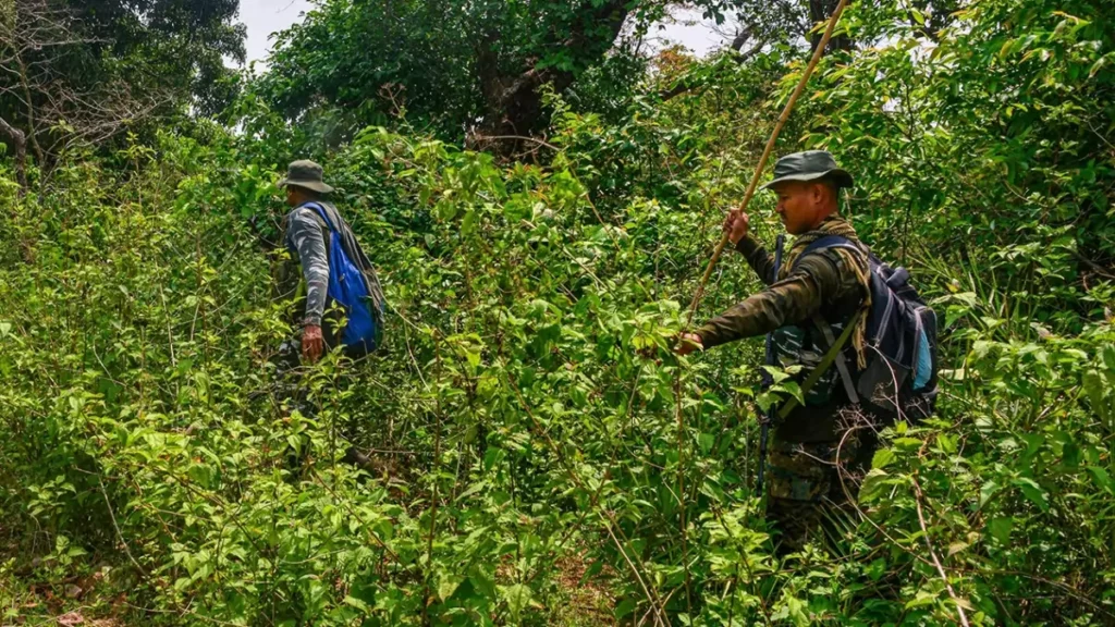 Two dreaded naxals killed in encounter in Gadchiroli