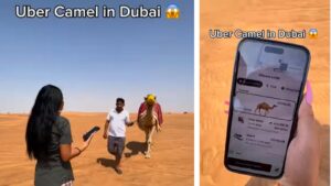 Only in Dubai Woman Orders Camel Through Uber in Desert!