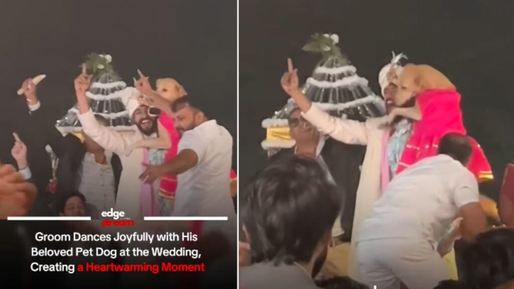 Wedding Gol Groom’s Adorable Dance with His Dog Wins the Internet