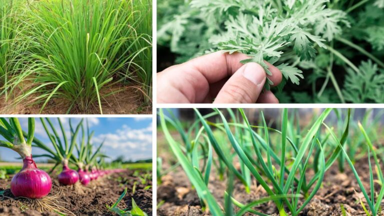 Green Defense Natural Snake Repellents You Can Grow at Home
