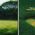 Drone Video of Hidden Forest Cricket Ground in Kerala Goes Viral