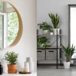 Not Just for Décor — Mind the Direction Before Placing a Mirror!