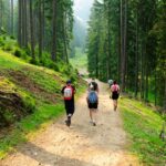 Plan Your Weekend! 8 Hill Stations Near Thane That Turn Into Paradise During Monsoon