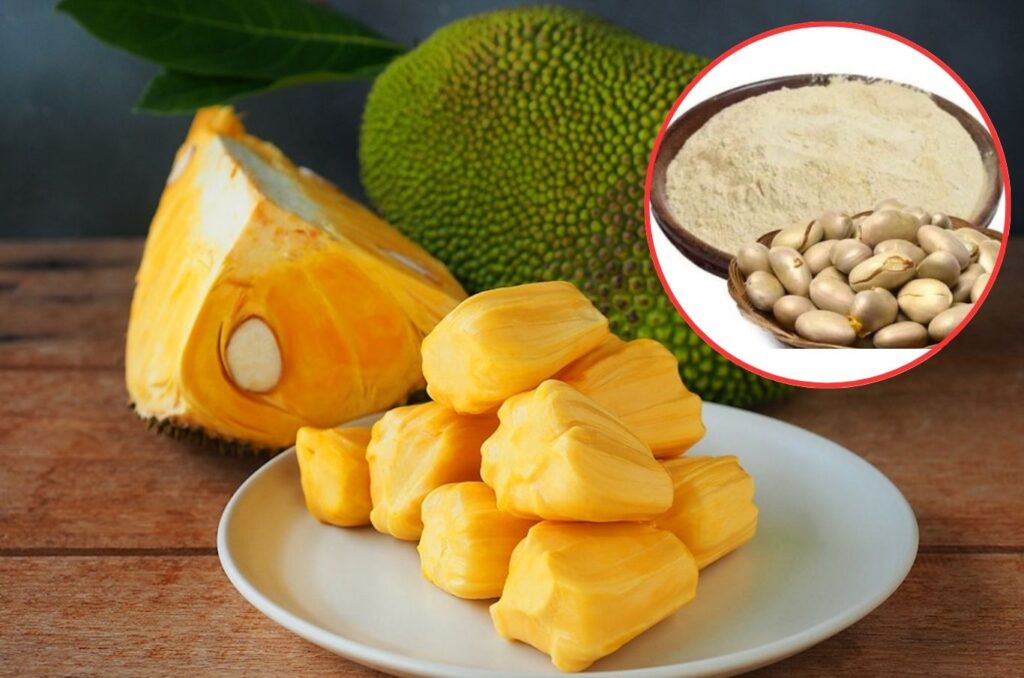 Jackfruit Seed Flour: A Hidden Treasure of Nutrition and Health