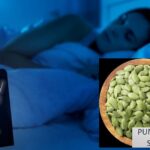 Pumpkin Seeds: A Delicious Secret for Deep and Restful Sleep