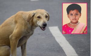 Thane: Five-Year-Old Girl Dies of Rabies in Diva Despite Receiving Anti-Rabies Vaccination