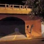 Road Runner ‘Tunnel’ Painting Goes Viral Again, but Crash Claims Are Just an Old Internet Myth