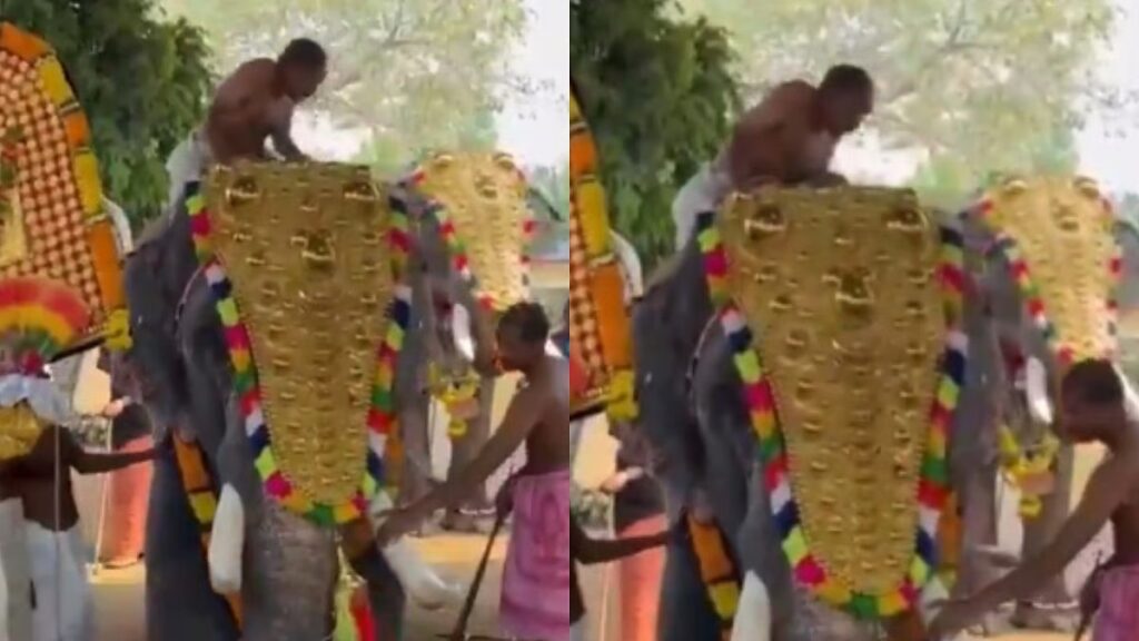 Kerala Temple Festival Turns Chaotic as Elephant Attacks Youth in Thrissur
