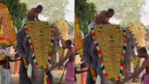 Kerala Temple Festival Turns Chaotic as Elephant Attacks Youth in Thrissur