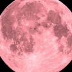 Pink Moon 2026: Date, Time, Meaning And Why It Doesn’t Actually Look Pink